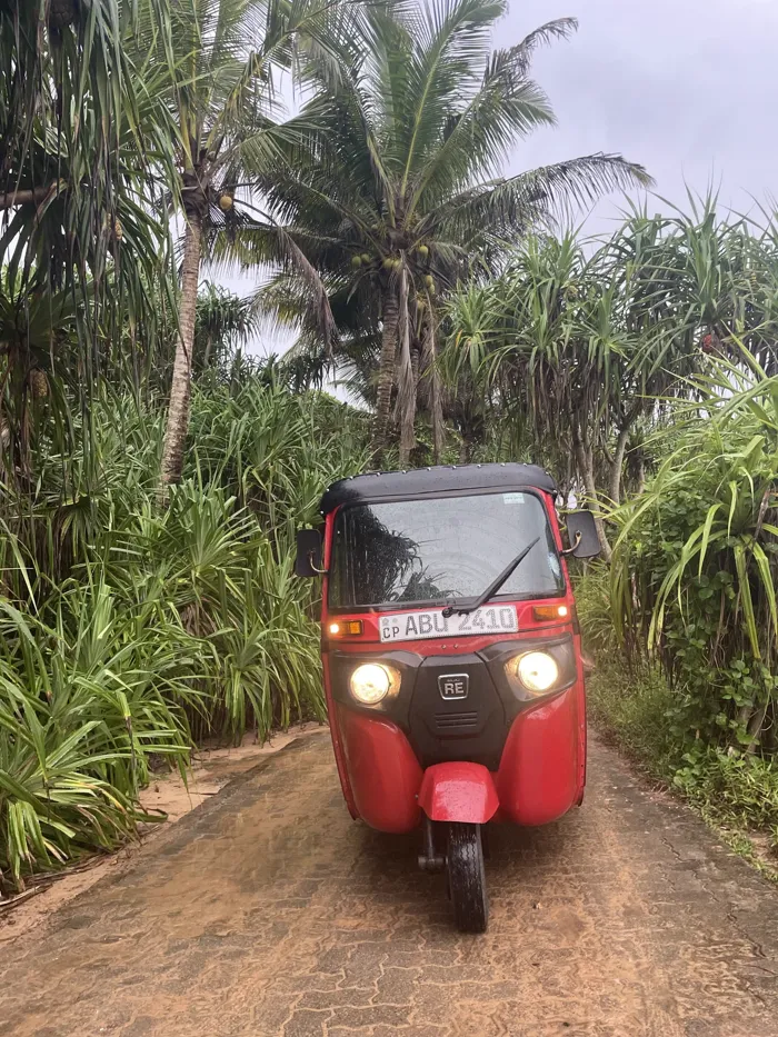 Red tuk tuk on a jungle road, southern Sri Lanka